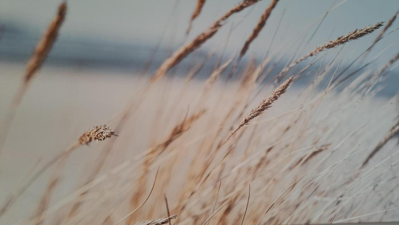 Vila Gile Palanga Exteriör bild